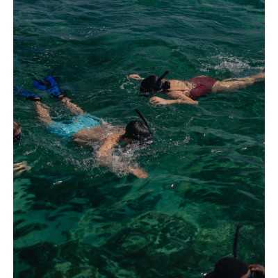 Snorkel