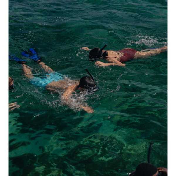 Snorkel
